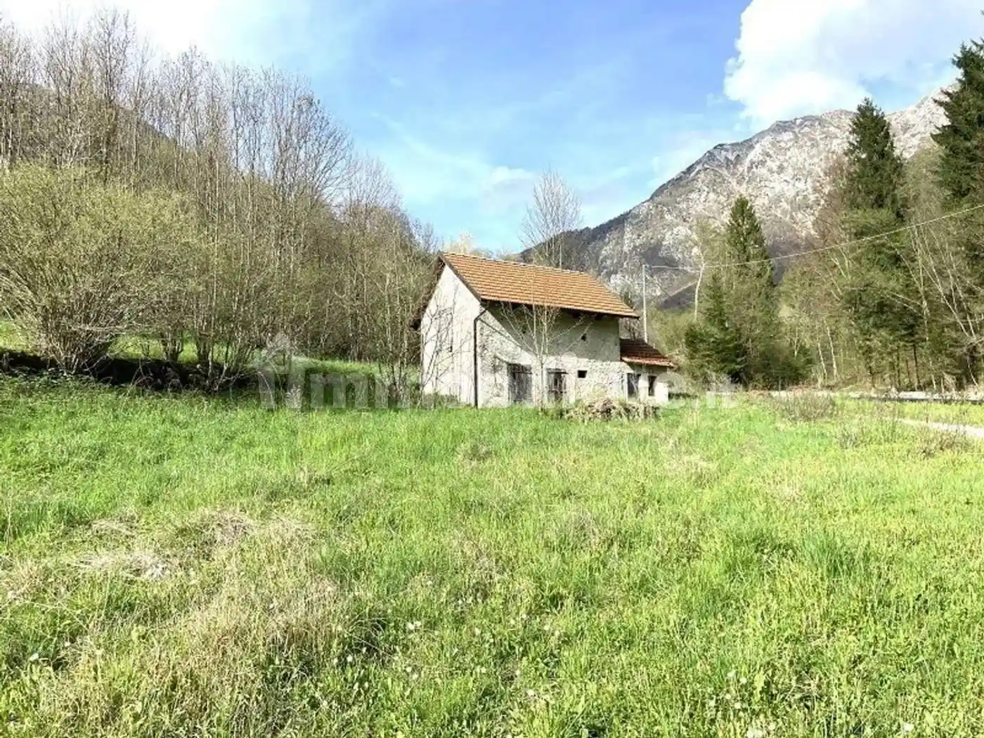 Cascina via Funesia No Number, Chies d'Alpago - foto 5