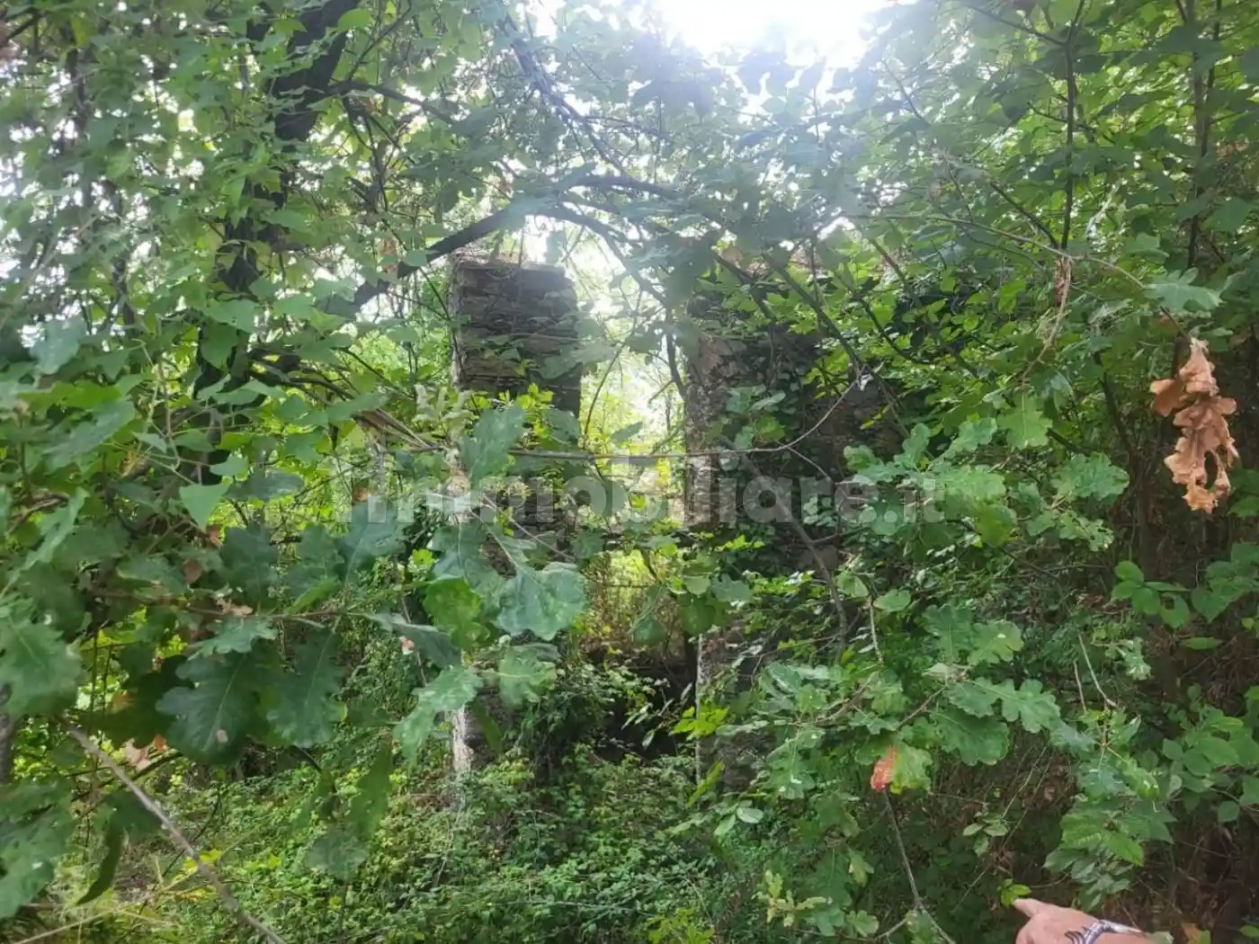 Rustico - Casale in vendita a Carrara