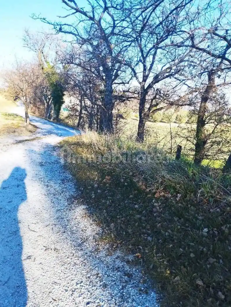 Rustico Contrada Farneto, Castelleone di Suasa - foto 2