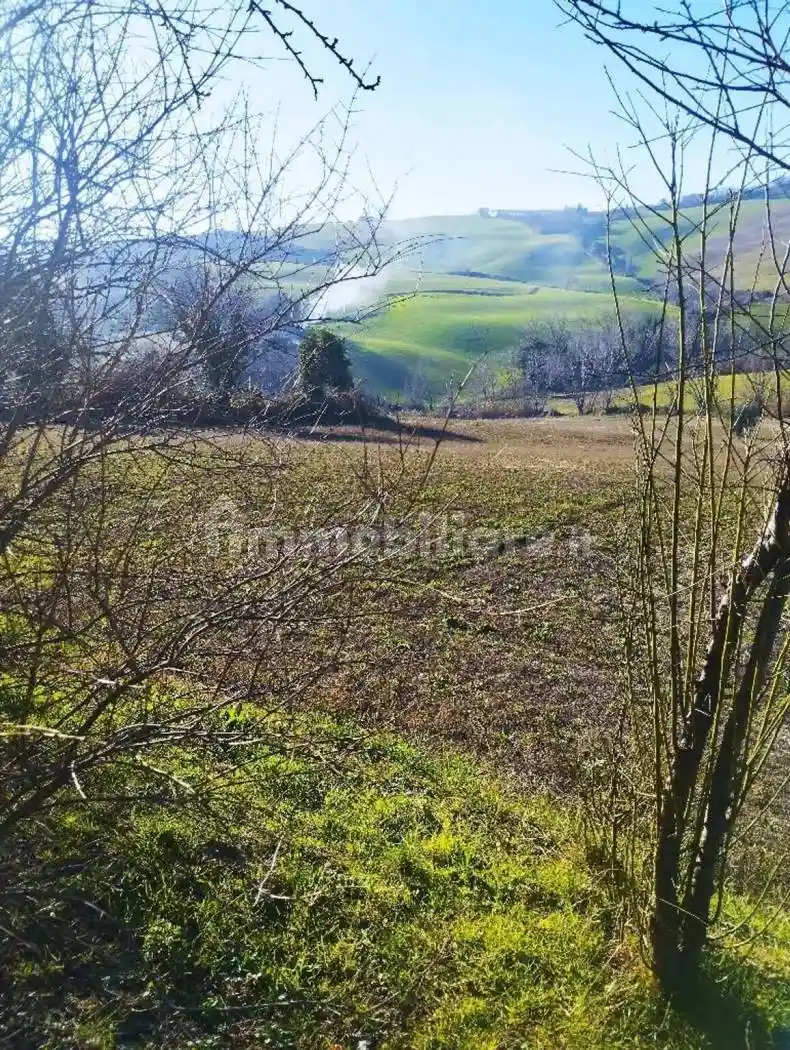 Rustico Contrada Farneto, Castelleone di Suasa - foto 4