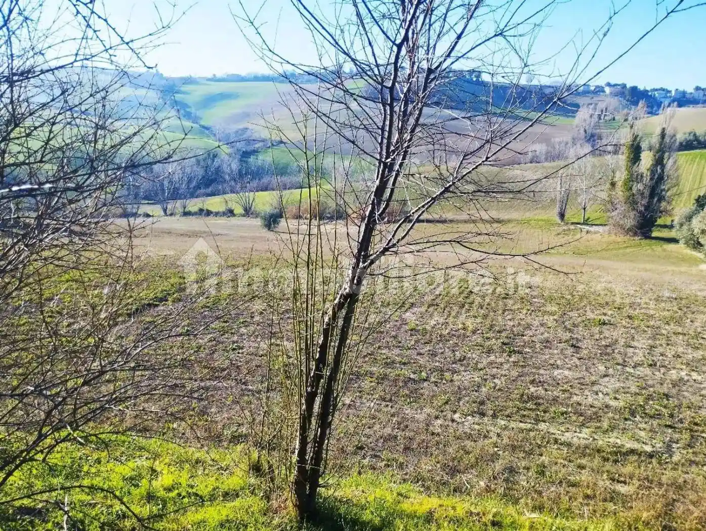 Rustico Contrada Farneto, Castelleone di Suasa - foto 5