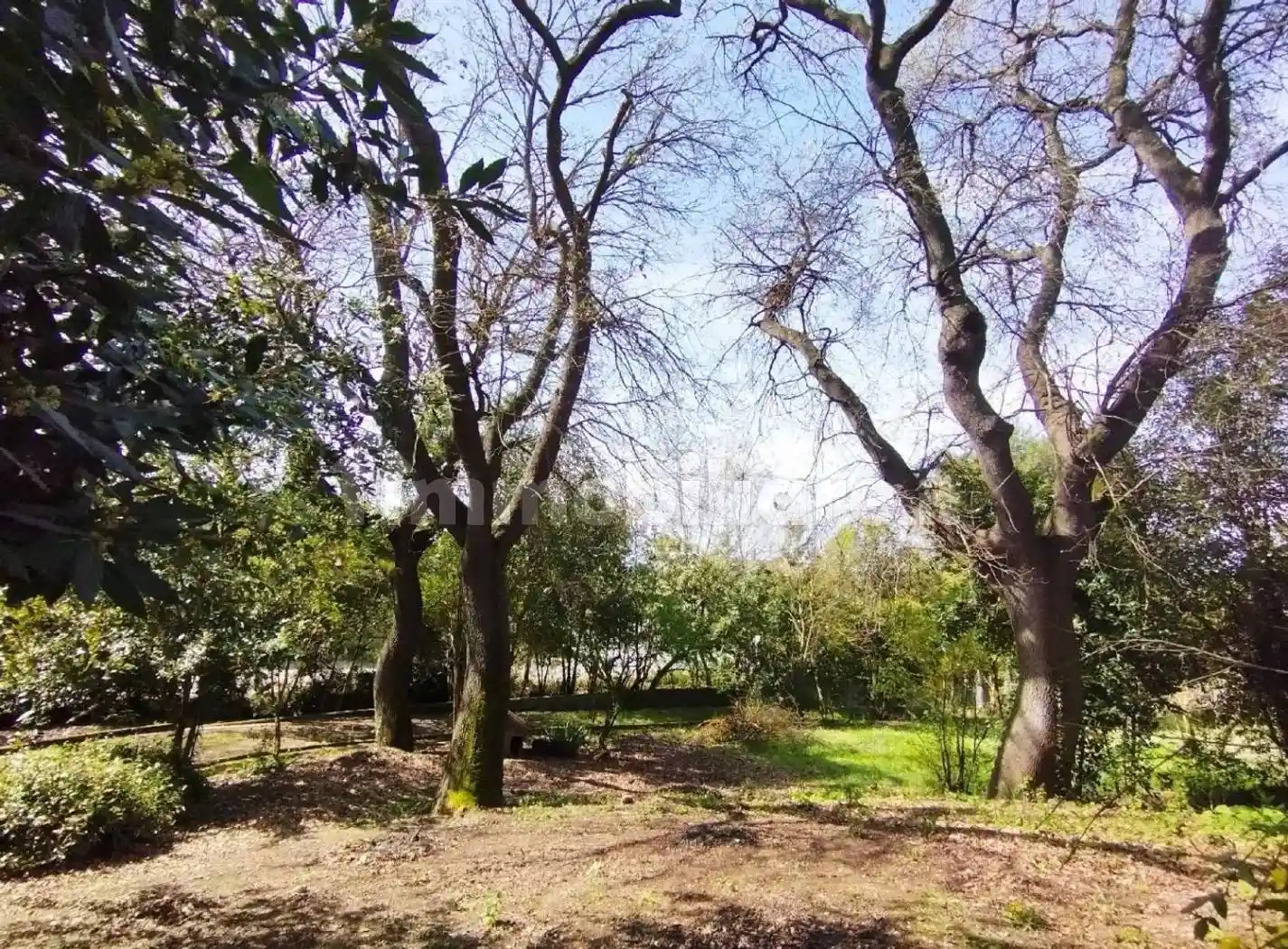 Rustico - Casale in vendita a Senigallia