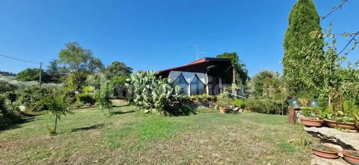 Rustico - Casale in vendita a Manciano