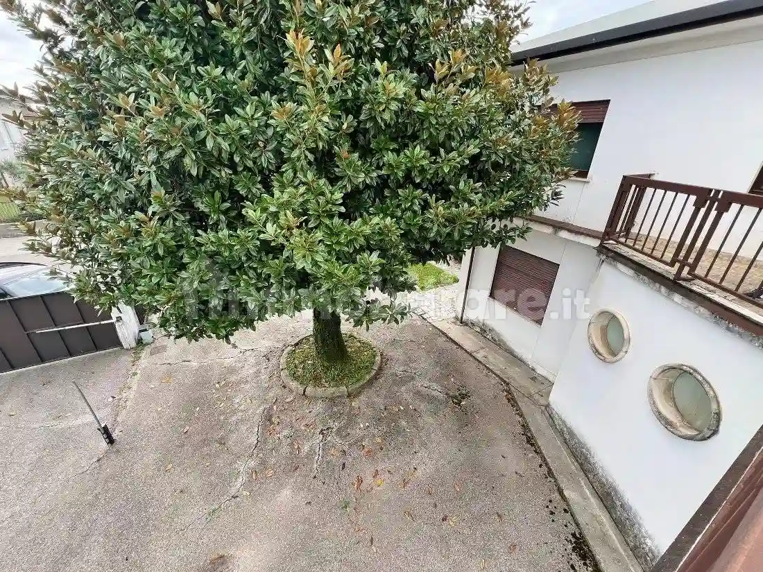 Palazzo - Edificio - foto 4