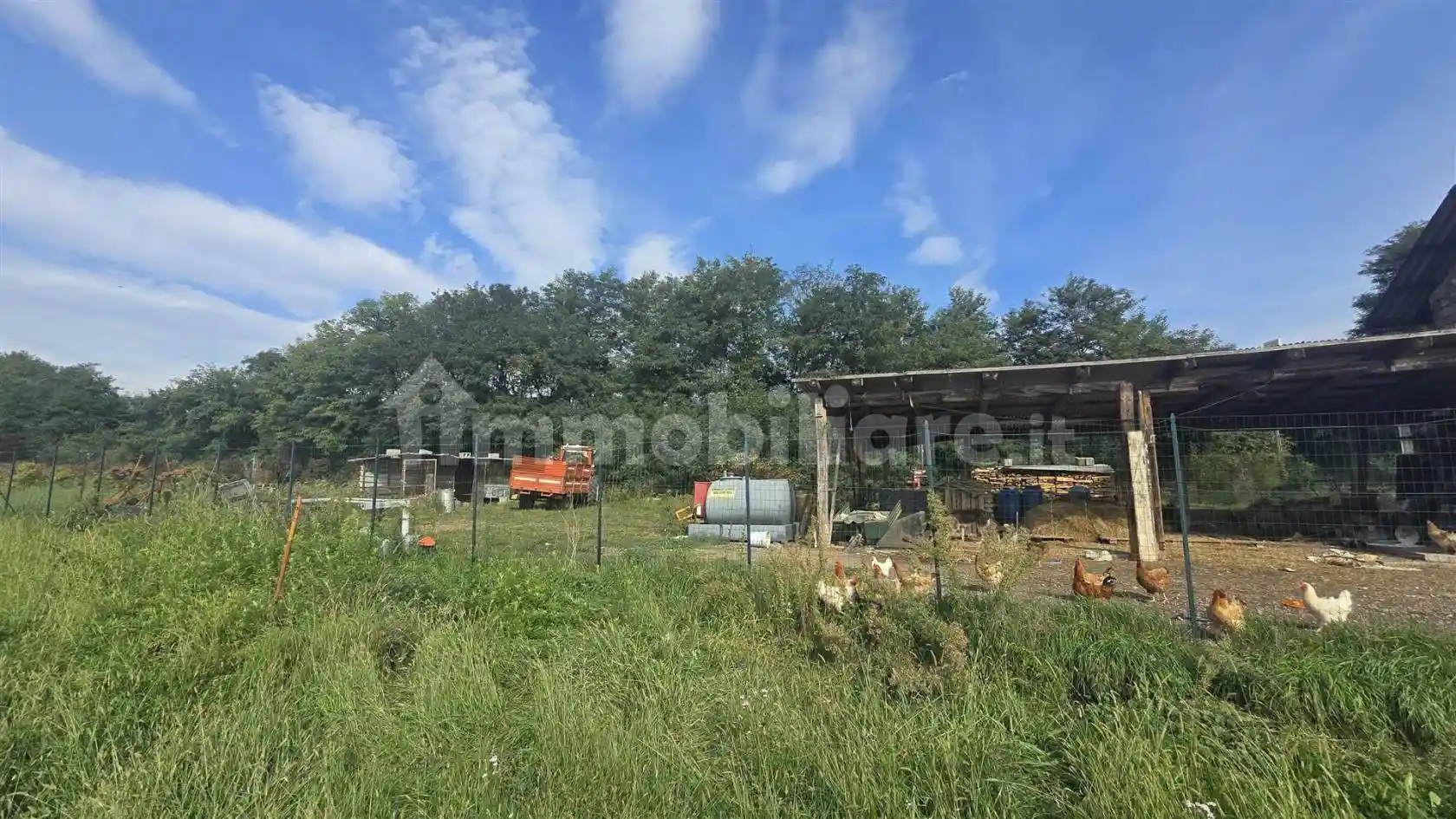 Rustico - Casale - foto 4