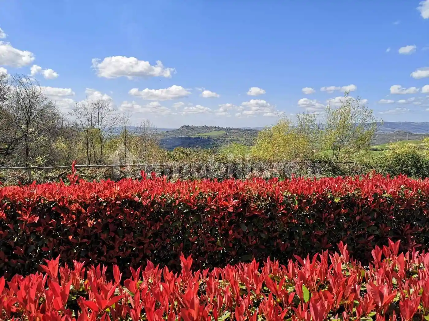 Appartamento in vendita a Manciano