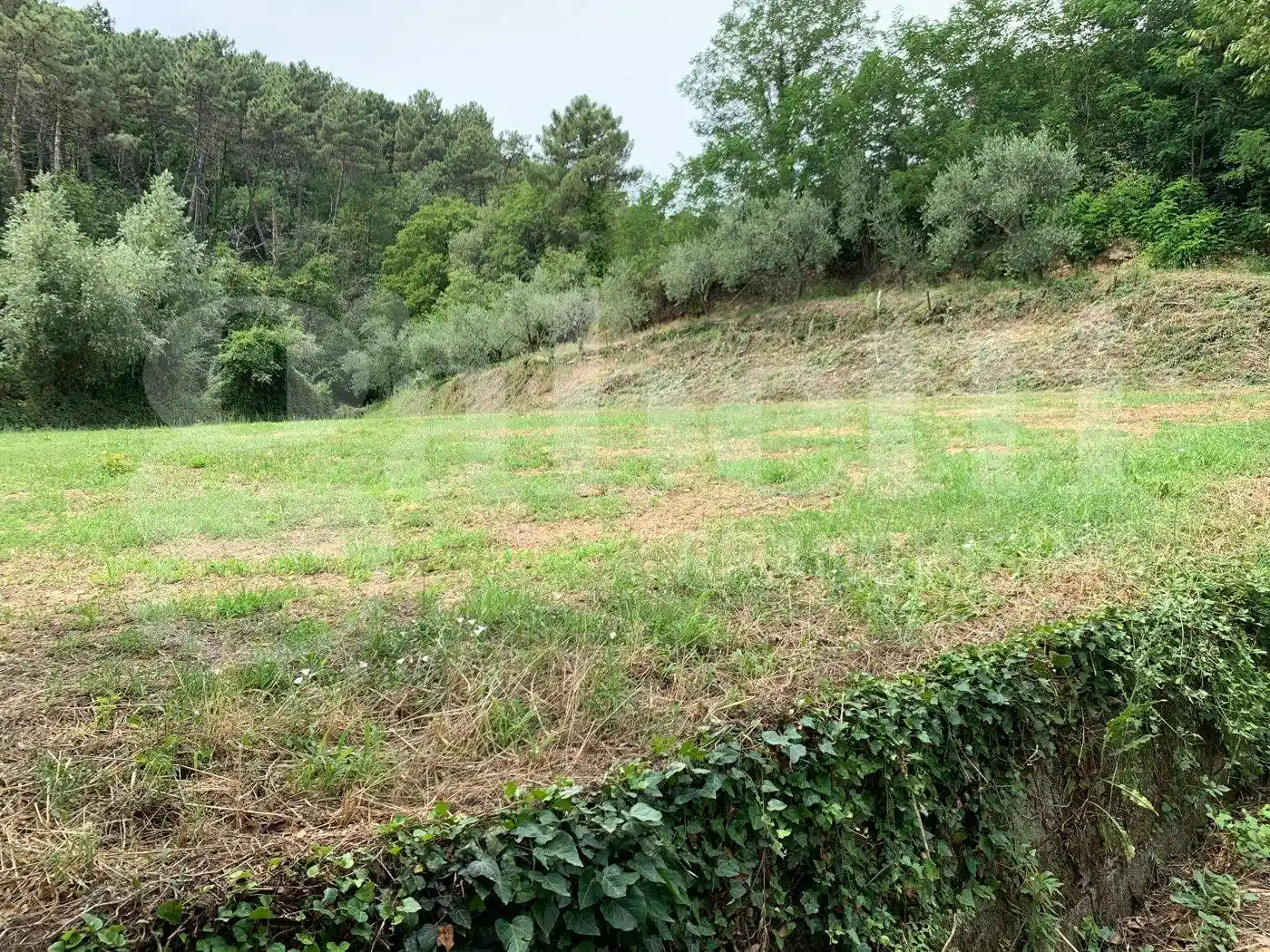 Rustico, da ristrutturare, 489 m², Cascine La Croce, Buti - foto 3