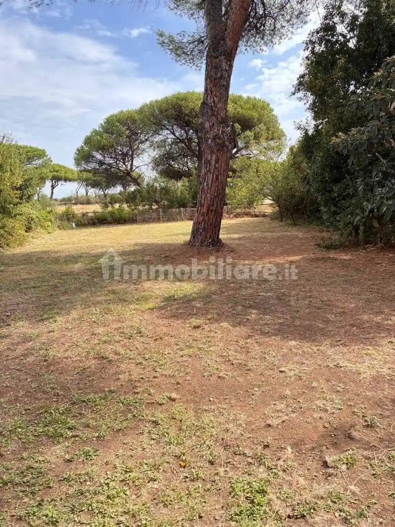 Villa bifamiliare via Appia Antica  298, Torricola - Tor Carbone, Roma - foto 4