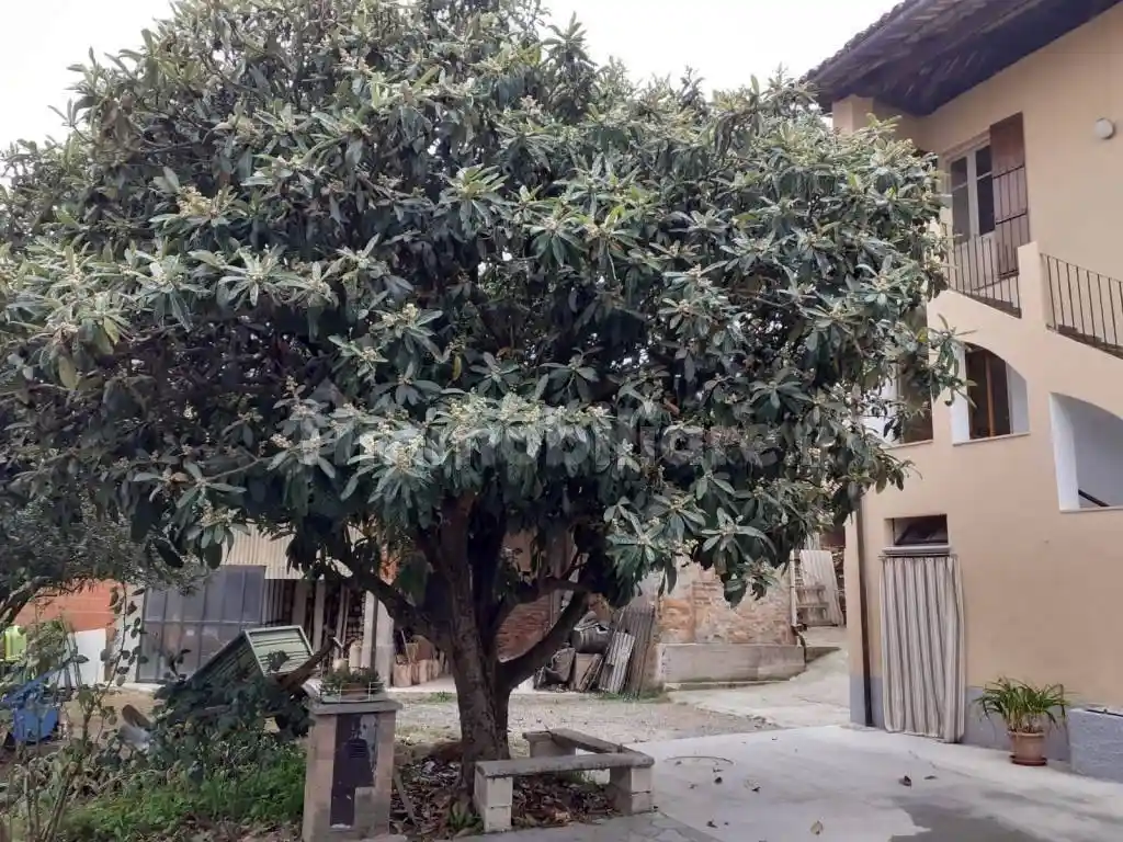 Villa in vendita a Castelnuovo Don Bosco