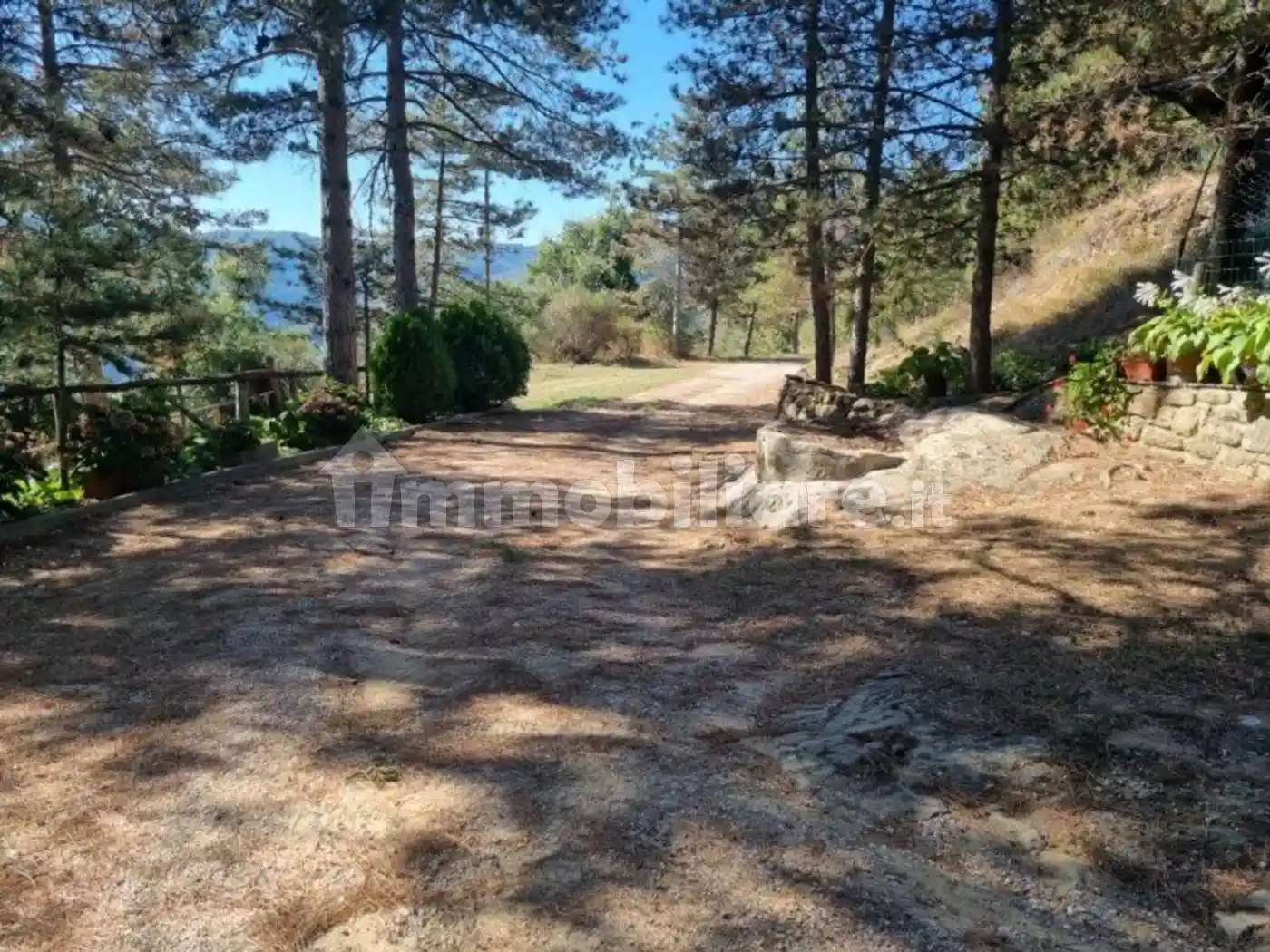 Cascina Rassinata, Santa Maria alla Rassinata, Arezzo - foto 3