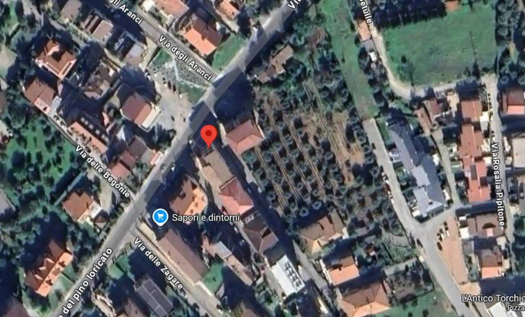 Appartamento all'asta via del Pino Loricato, Castrovillari - foto 5