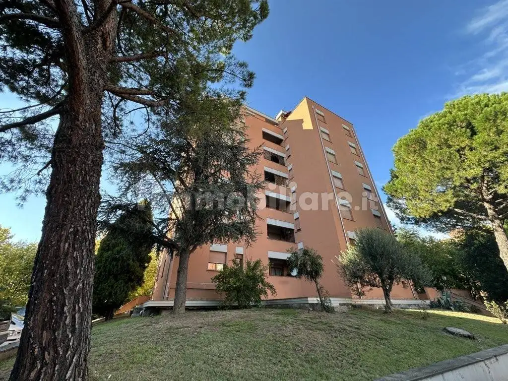 Appartamento in vendita a Imola