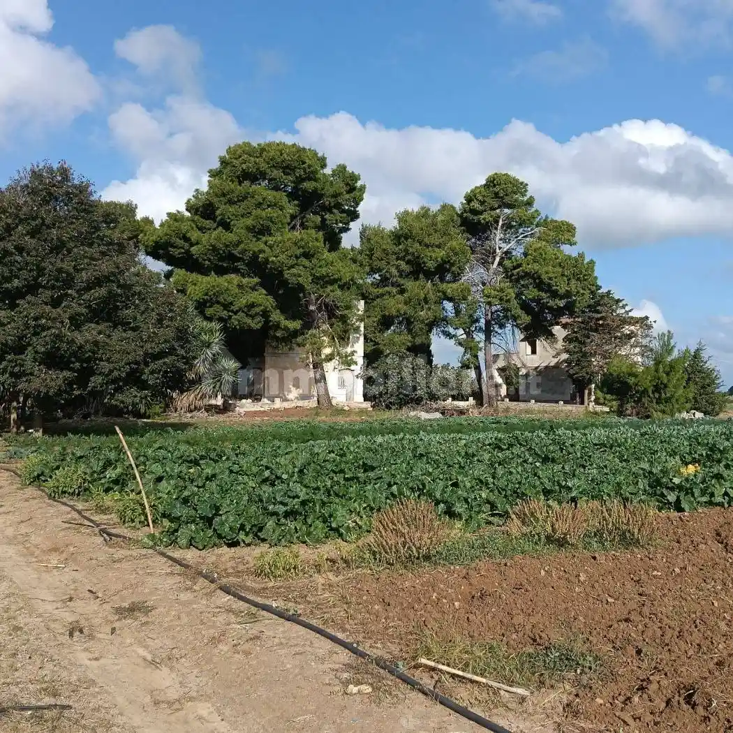 Casa colonica Strada Comunale   49, Montenegro, Brindisi - foto 4