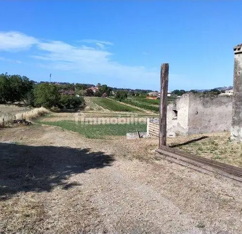 Rustico Contrada Ferretti 31, Collecorvino - foto 4