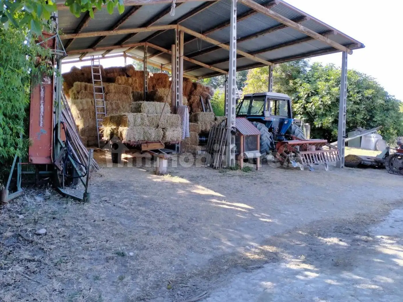 Rustico - Casale in vendita a Collecorvino