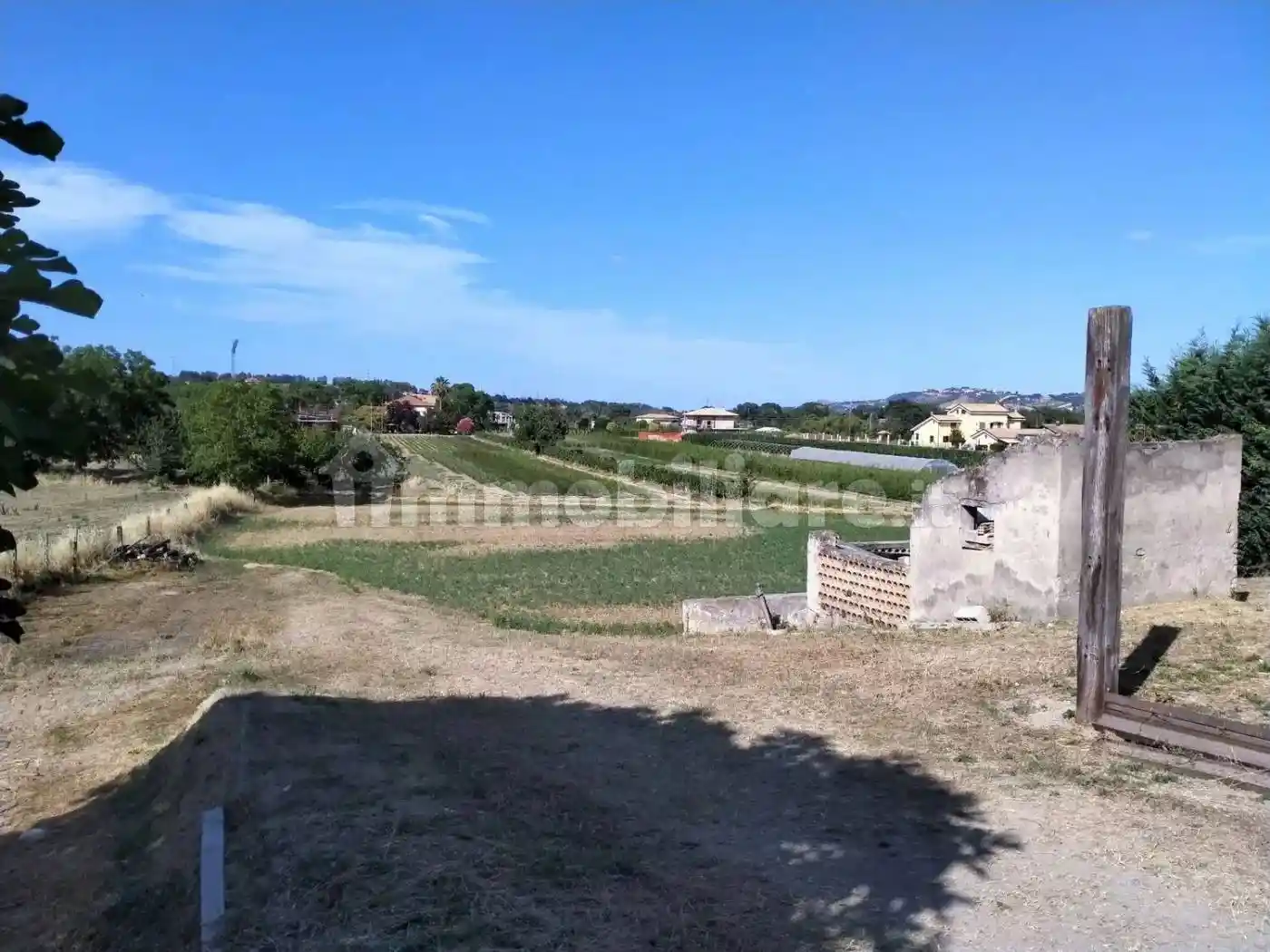 Cascina Contrada Ferretti, 31, Collecorvino - foto 5