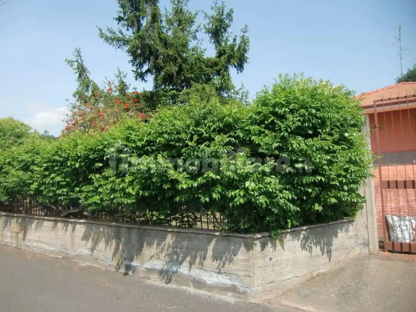 Villa in vendita a Pedara