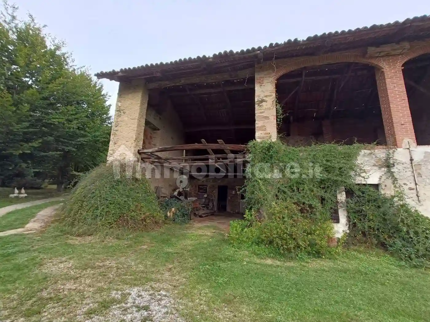 Rustico - Casale - foto 3
