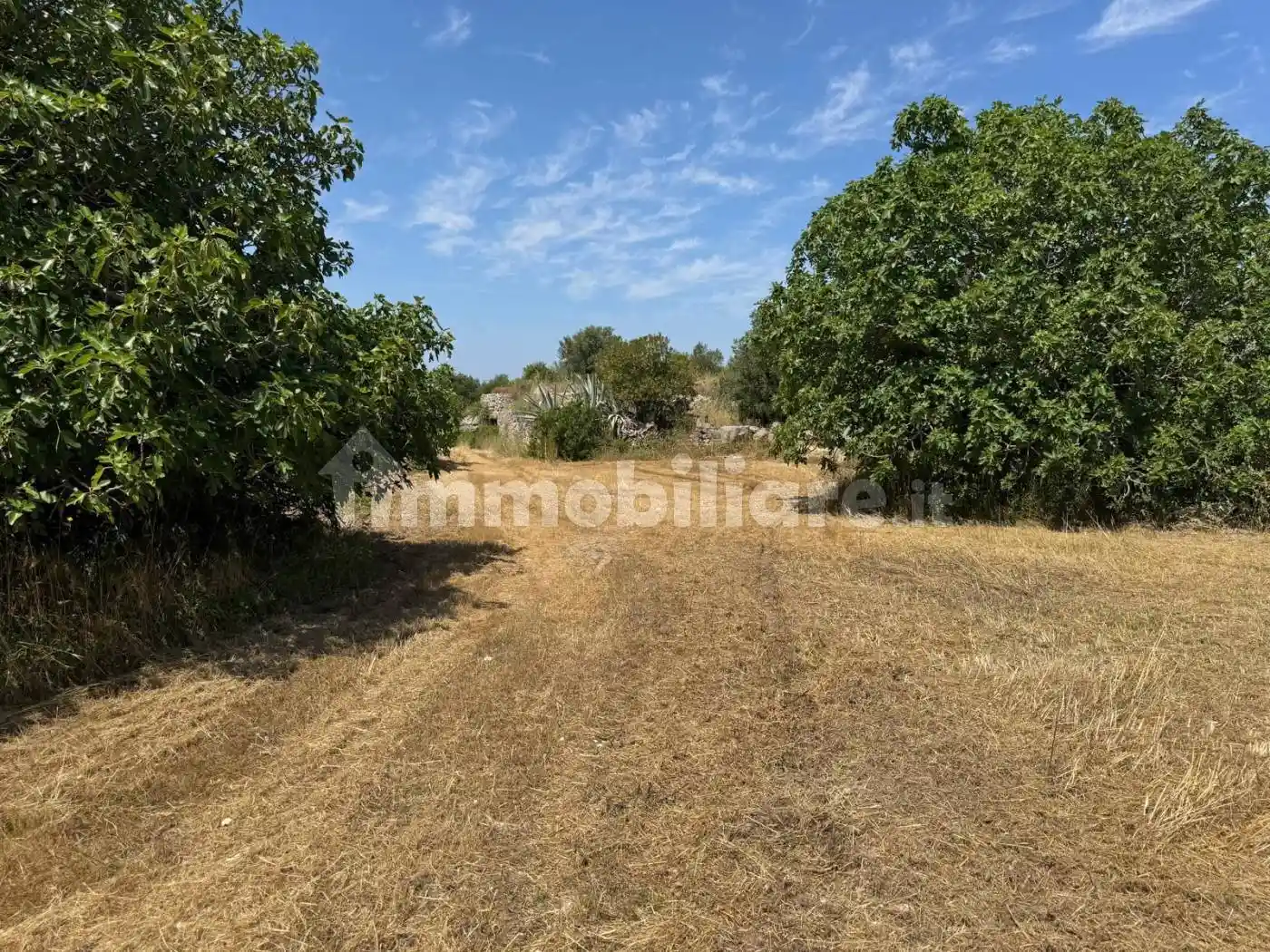 Rustico - Casale in vendita a Grottaglie