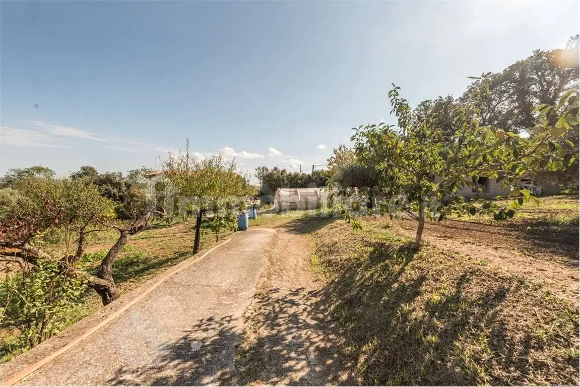 Villa unifamiliare via Delle Vigne, 8, Collecorvino - foto 2
