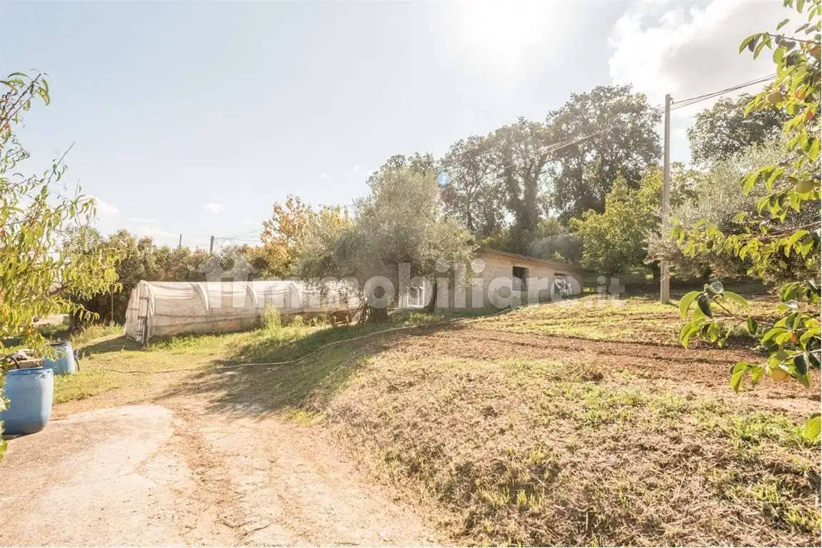 Villa unifamiliare via Delle Vigne, 8, Collecorvino - foto 3