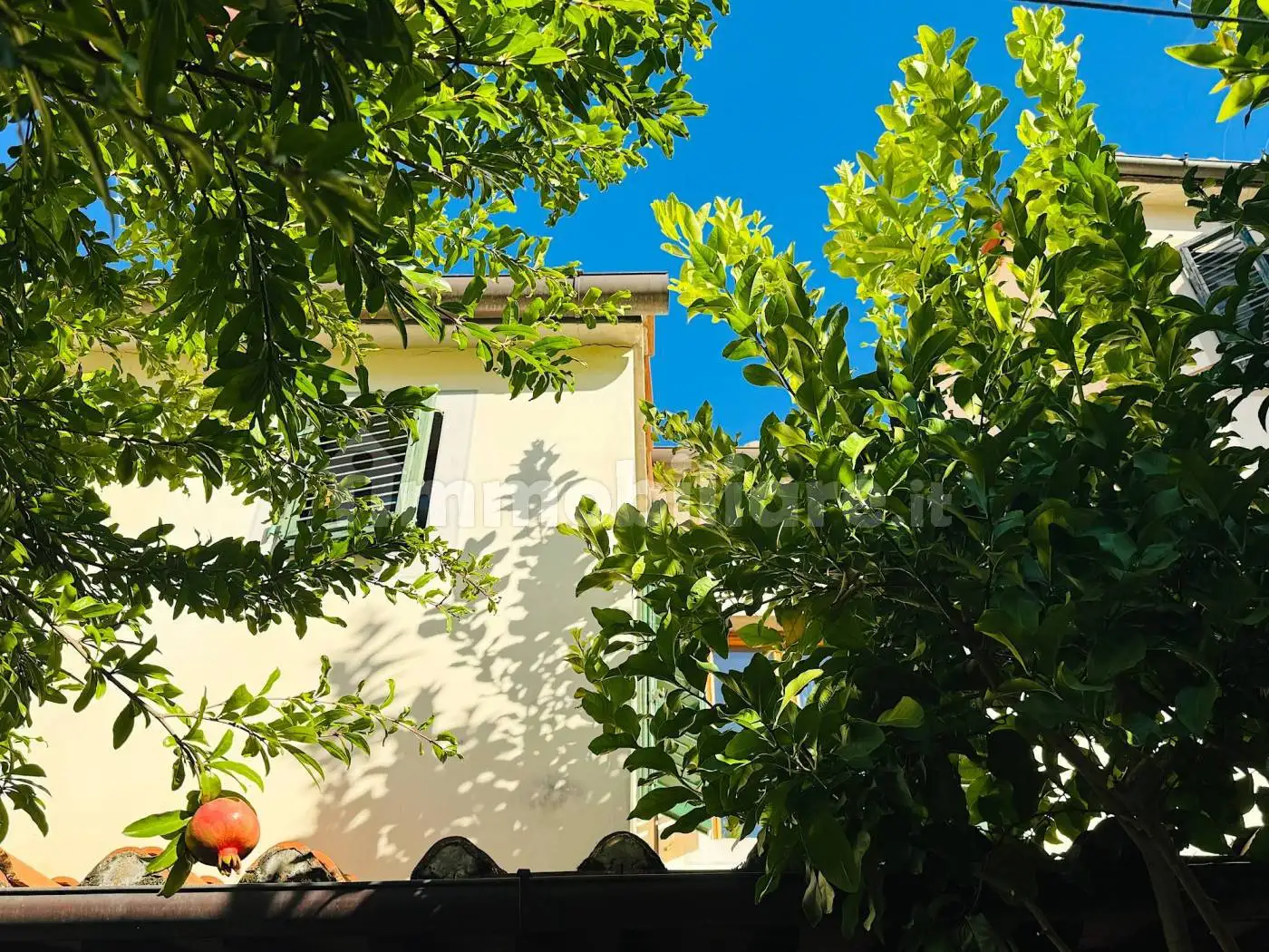 Casa indipendente in vendita a Pistoia