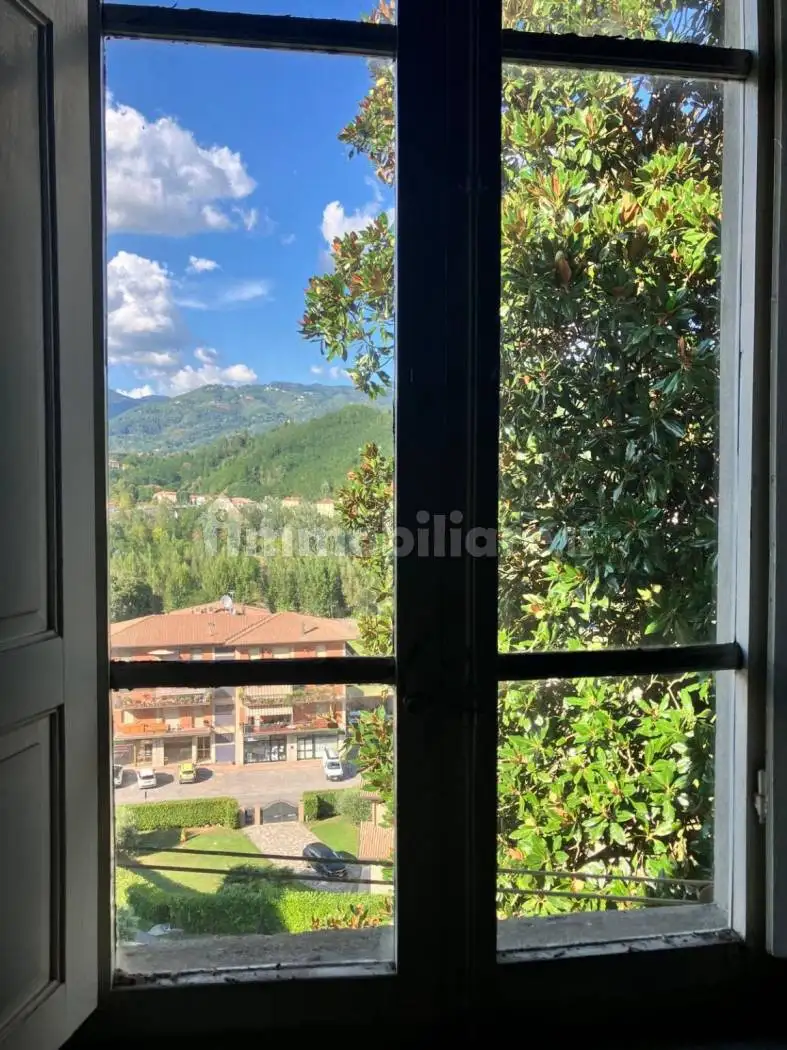 Appartamento in vendita a Castelnuovo di Garfagnana