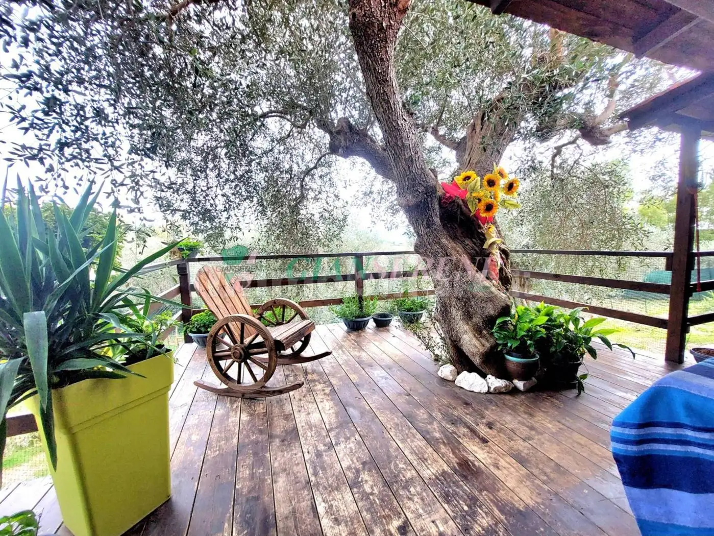 Rustico - Casale in vendita a Follonica