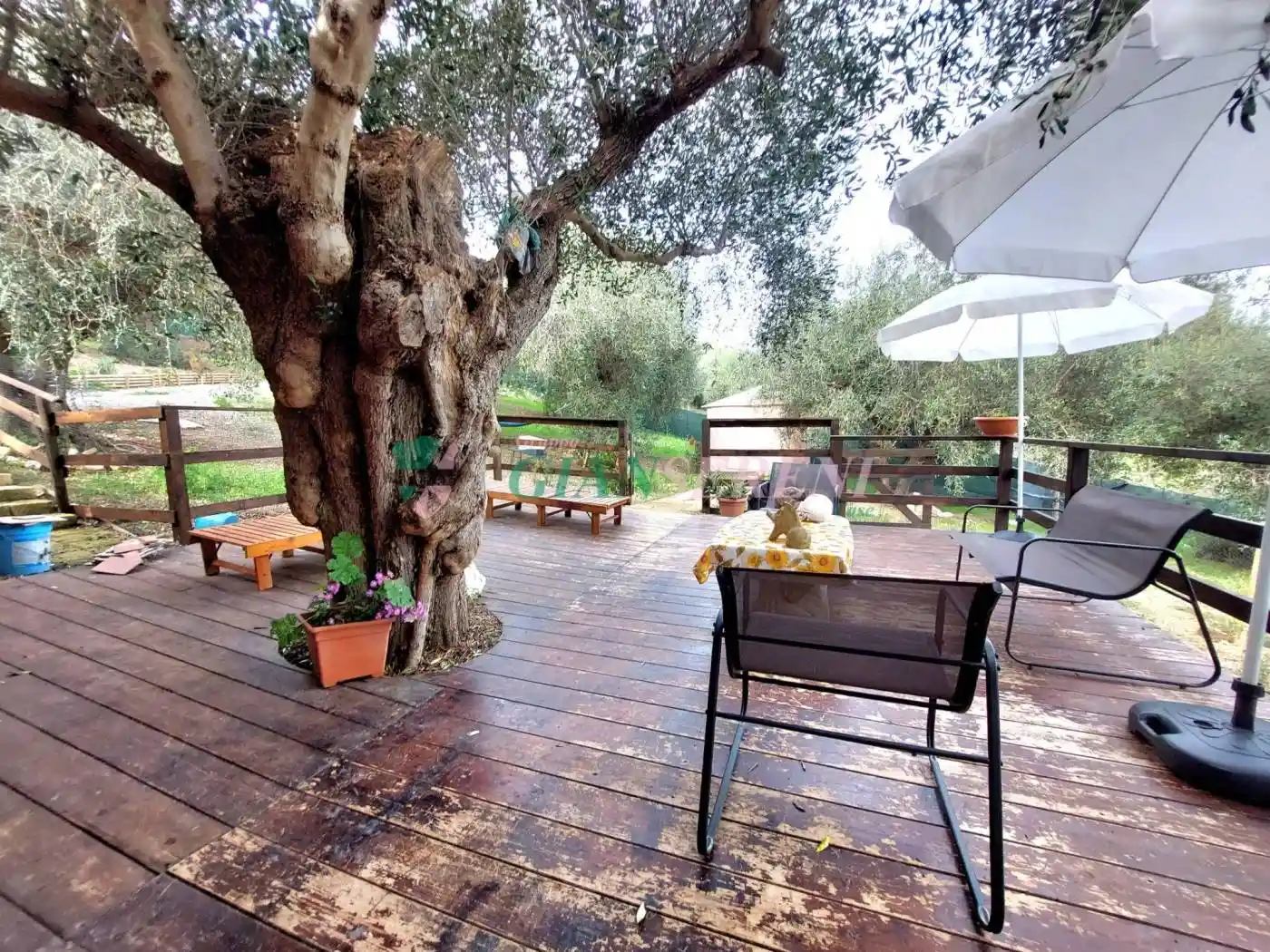 Rustico - Casale - foto 2