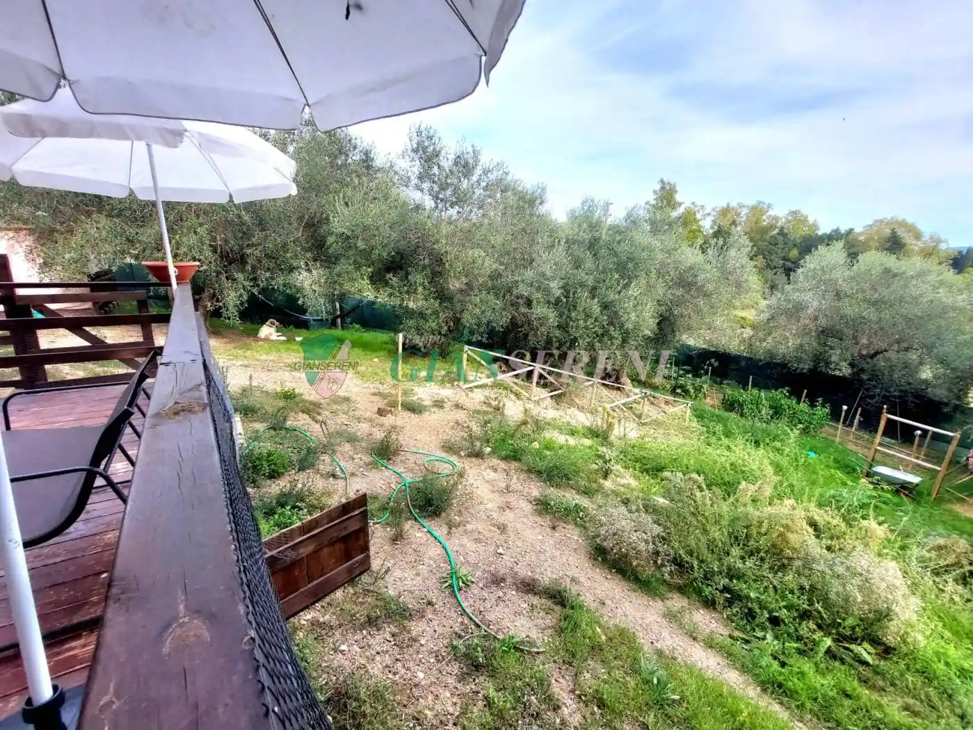 Rustico - Casale - foto 3