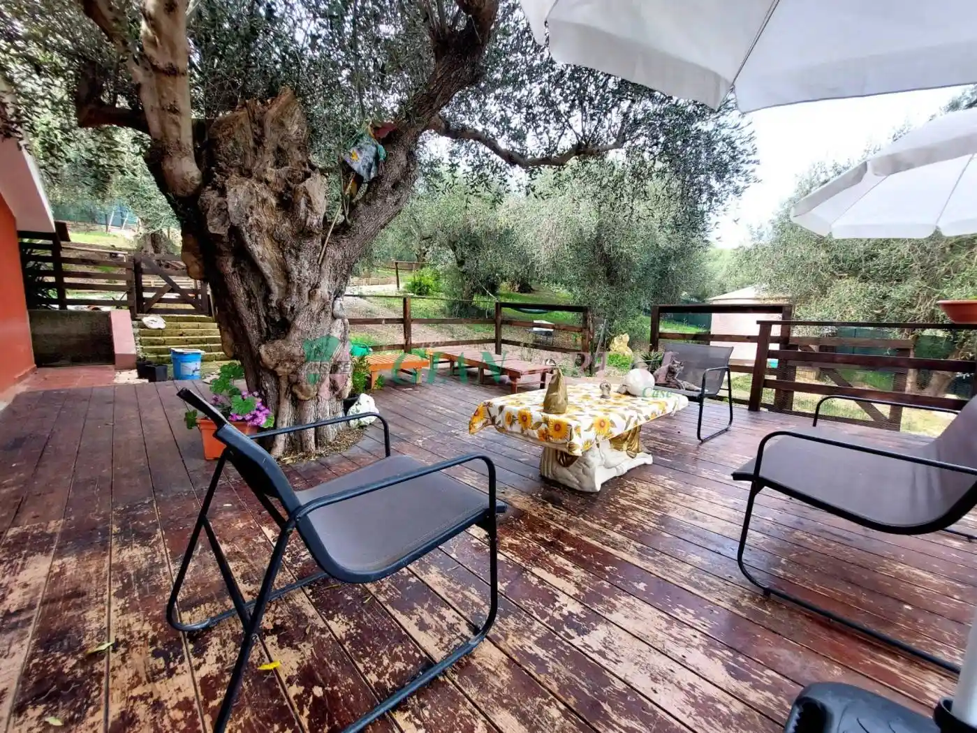 Rustico - Casale - foto 4