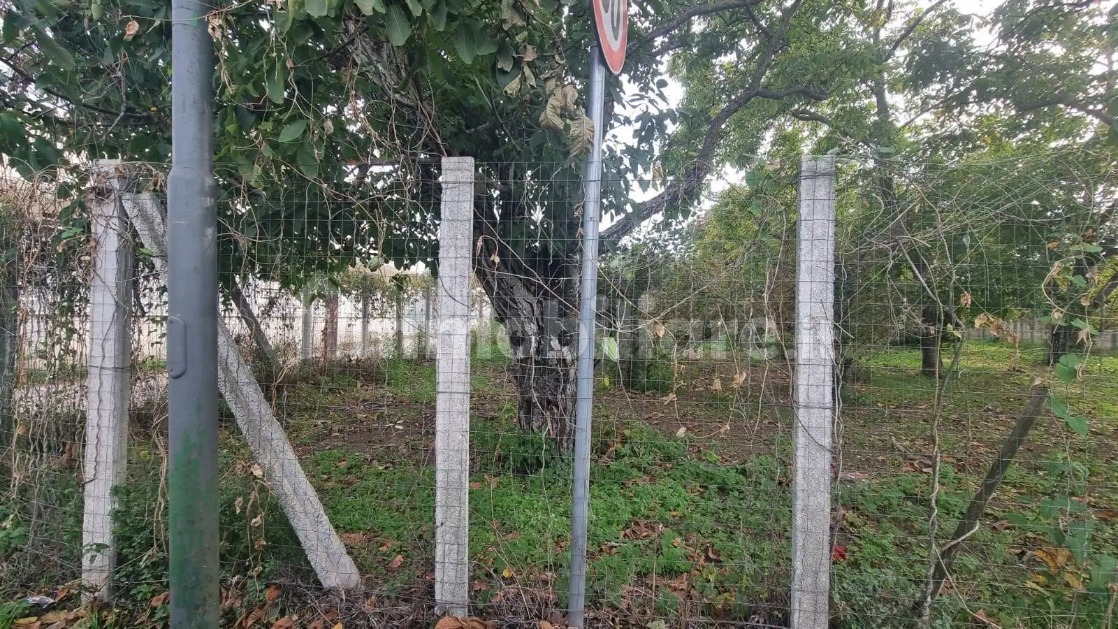 Monolocale primo piano, Brusciano - foto 4