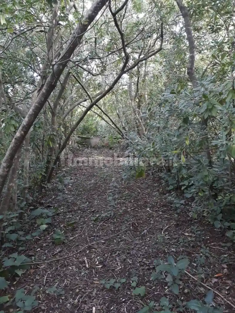 Cascina via San Simplicio, 24, Rizzeddu - Monserrato, Sassari - foto 4