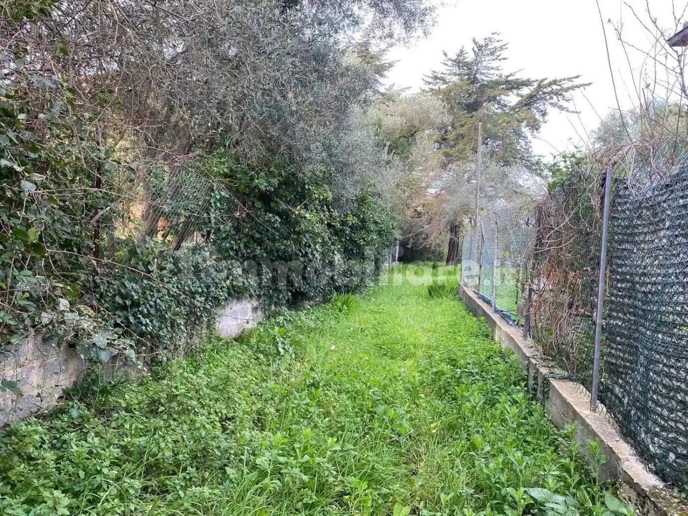 Cascina via San Simplicio, 24, Rizzeddu - Monserrato, Sassari - foto 5