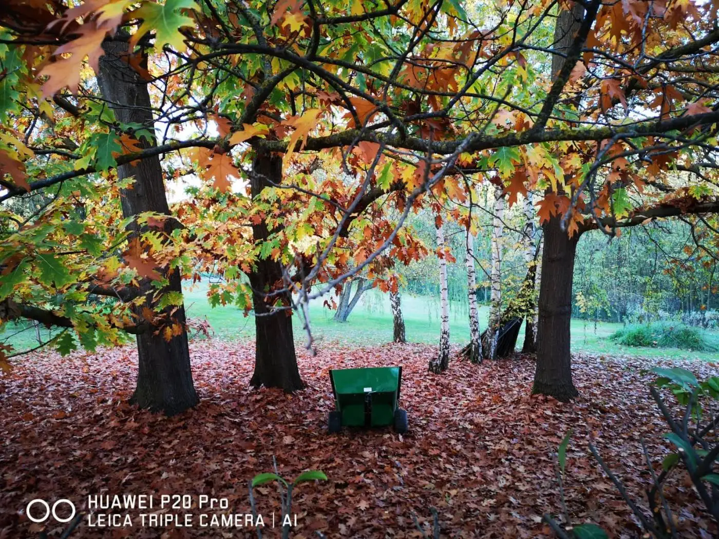 Casale via Serra, Buttigliera d'Asti - foto 5