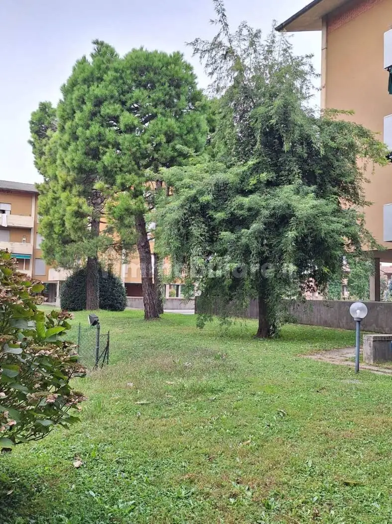 Attico via Prealpi 9, Centro, Arosio - foto 5