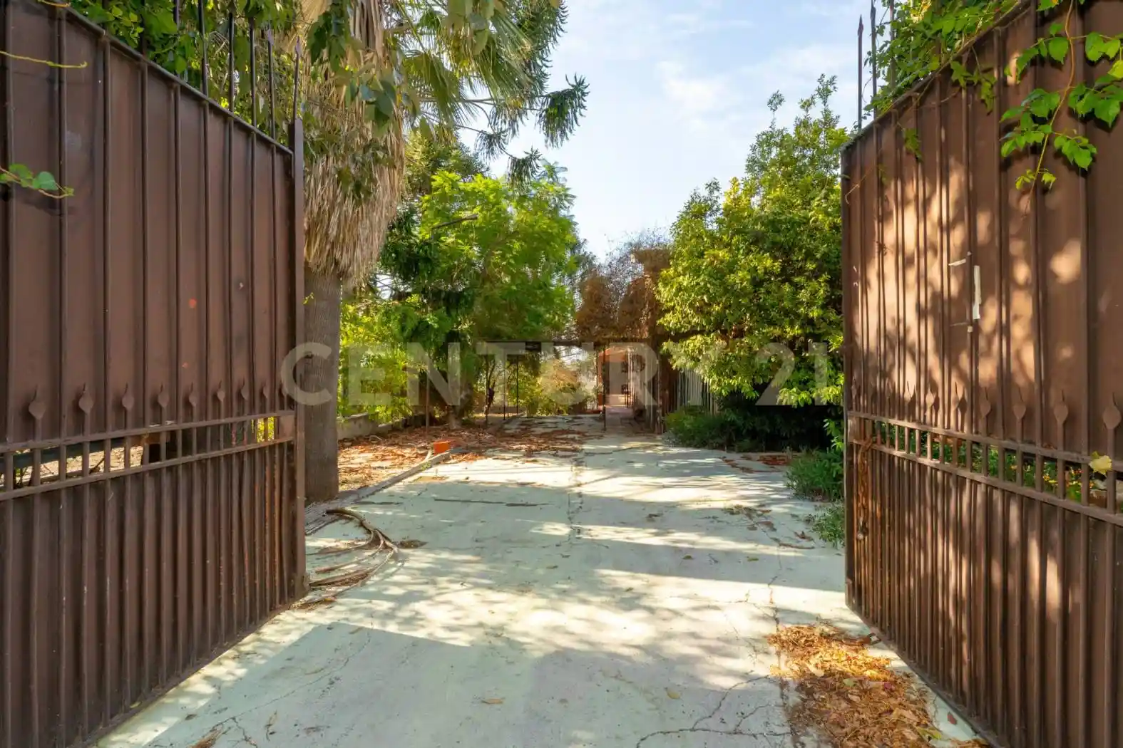 Villa in vendita a Aci Castello