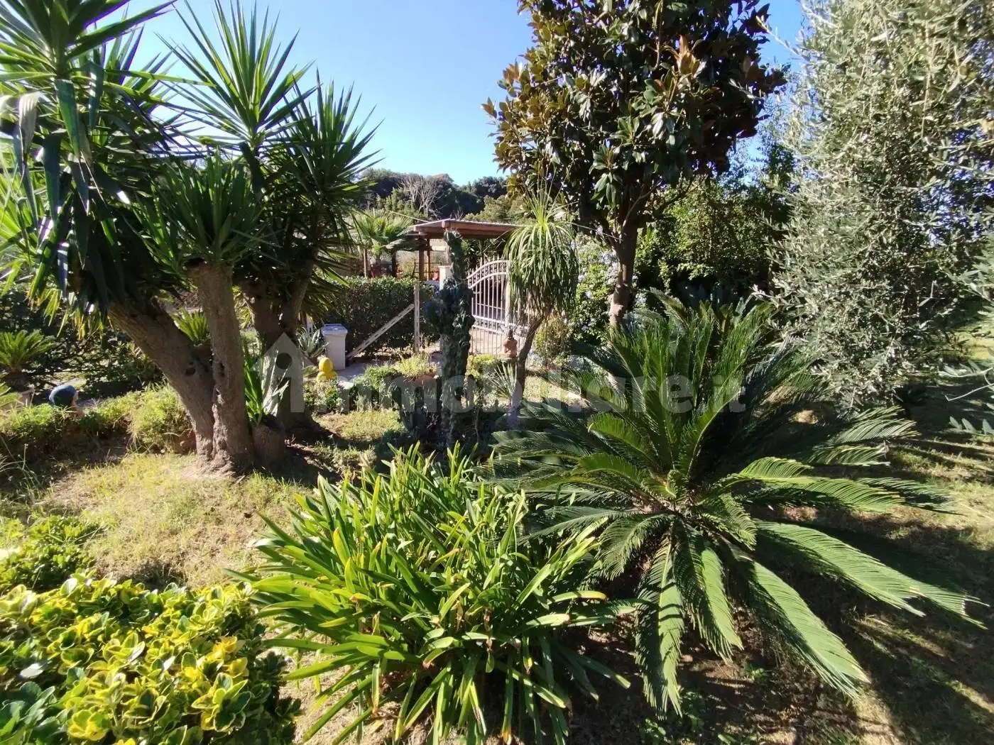 Rustico - Casale in vendita a Ardea