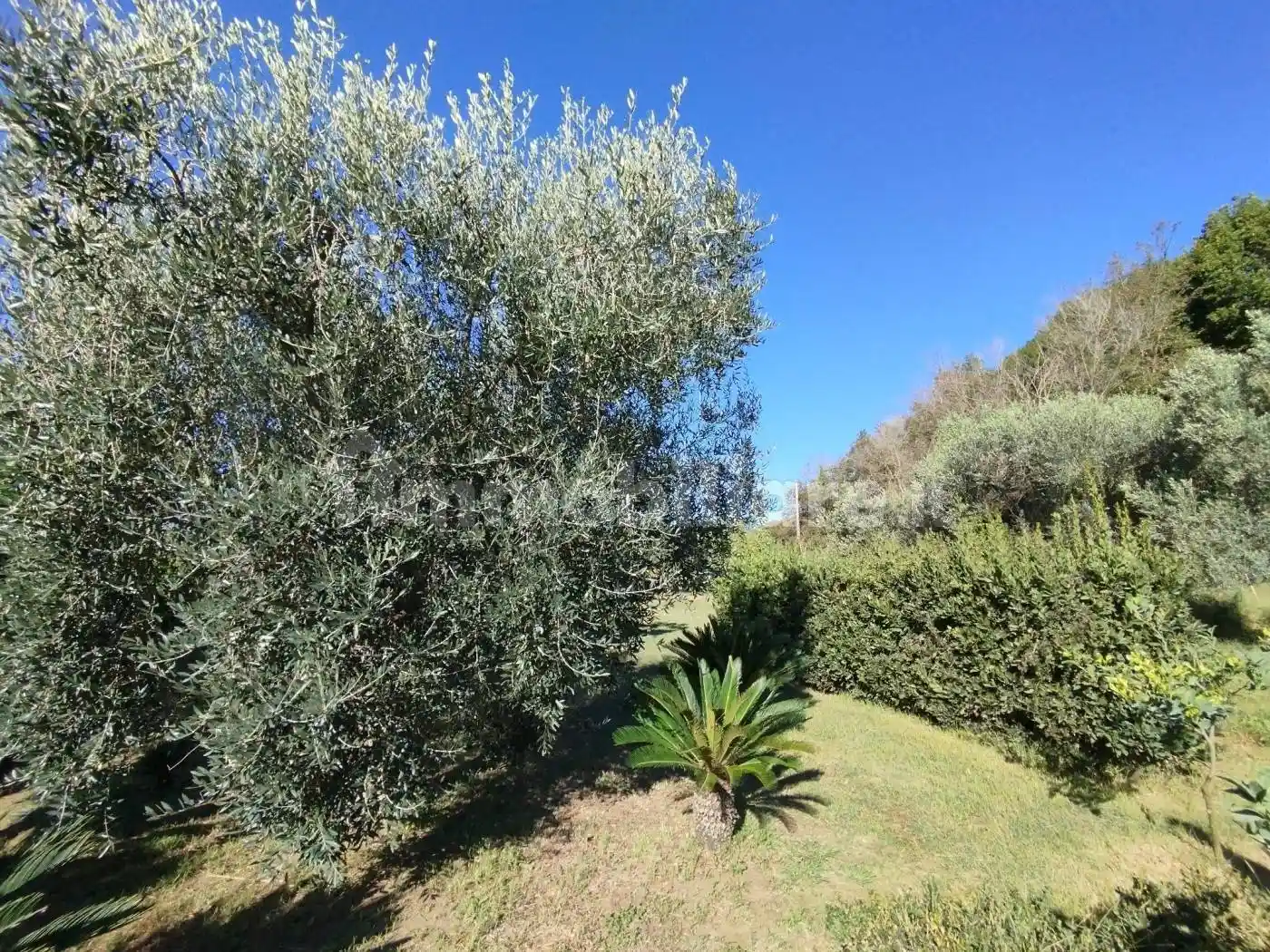 Casa colonica via Valli di Santa Lucia, Valli di Santa Lucia, Ardea - foto 4