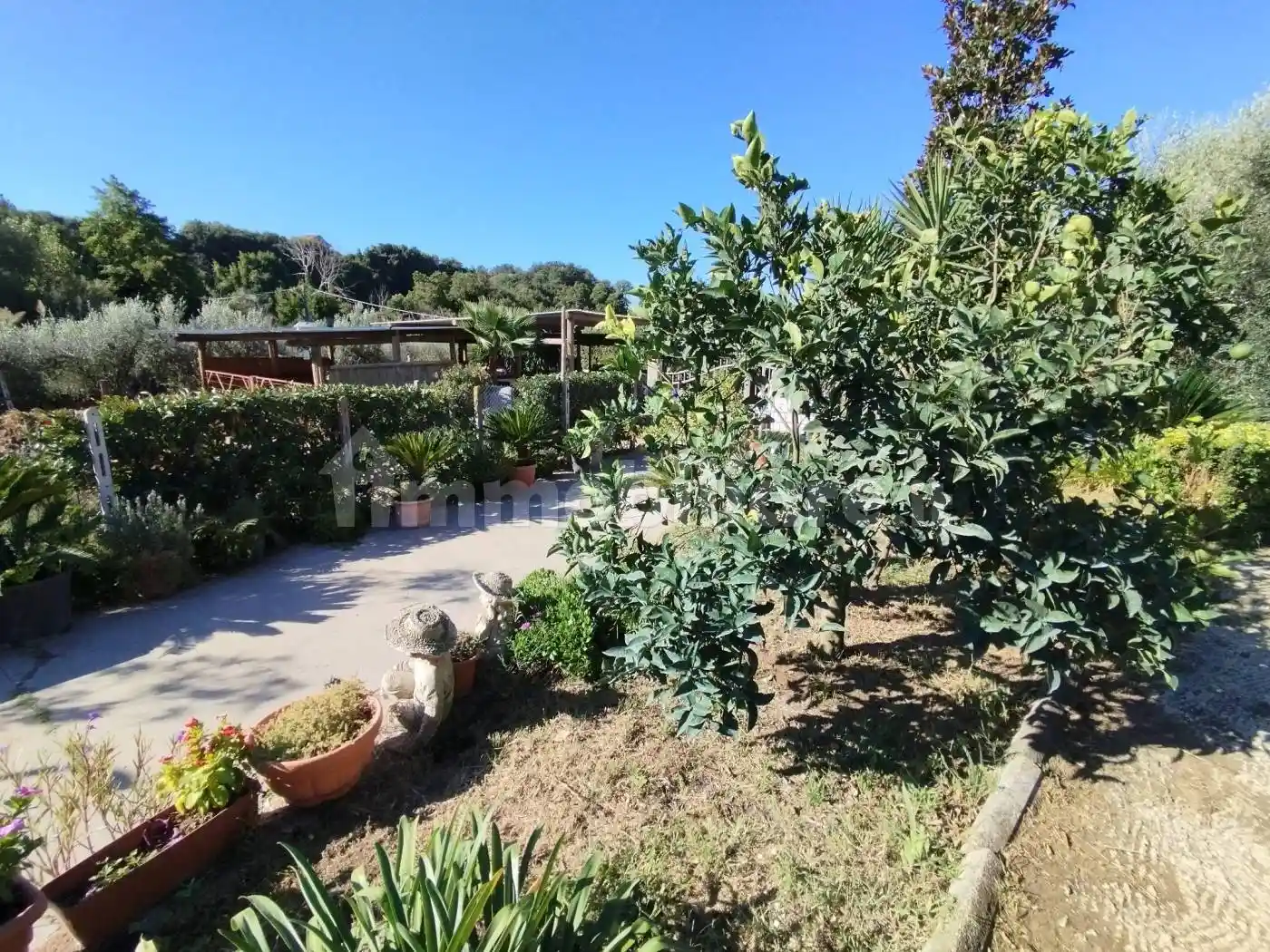 Casa colonica via Valli di Santa Lucia, Valli di Santa Lucia, Ardea - foto 5