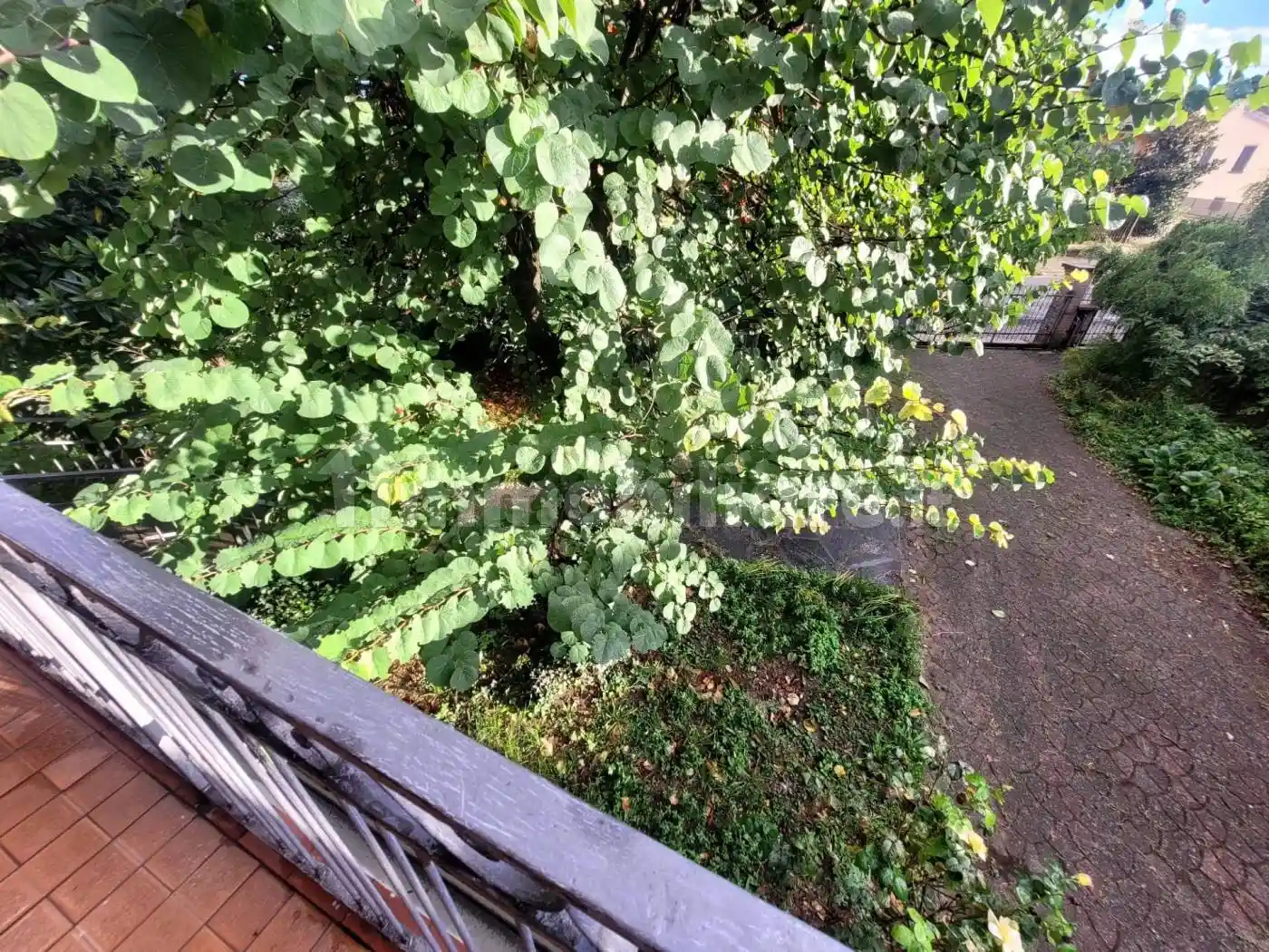 Villa plurifamiliare via Villa, Centro, Besenzone - foto 4