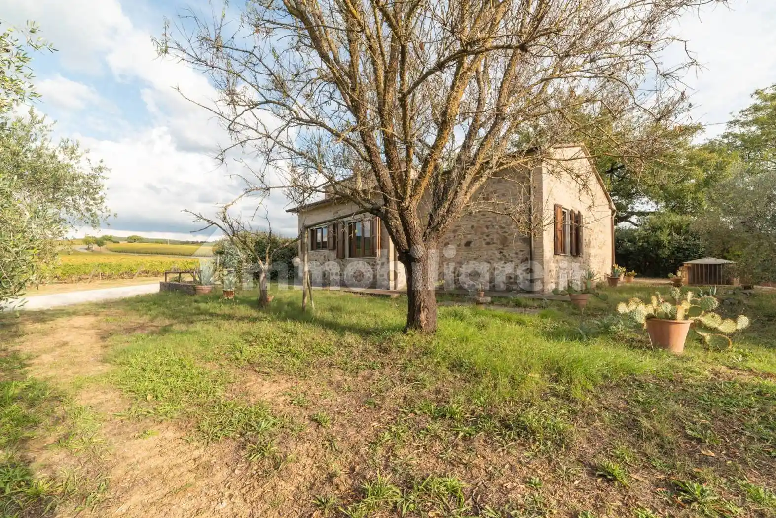 Rustico - Casale - foto 3