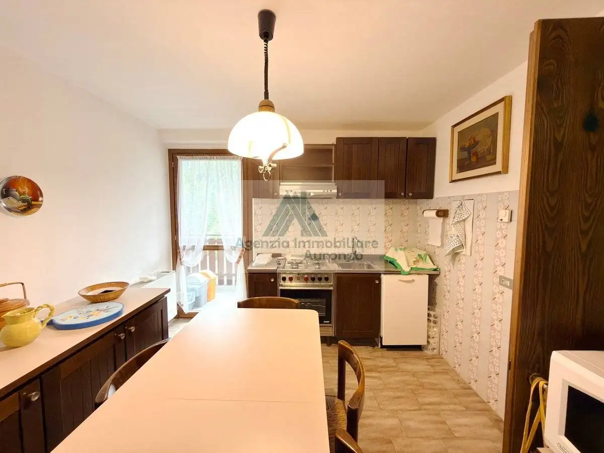 Appartamento via Pause 84, Auronzo, Auronzo di Cadore - foto 5