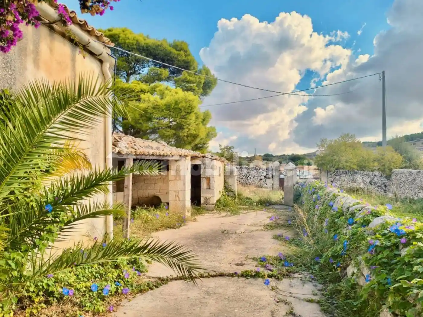 Masseria Strada Provinciale Marina di Ragusa, Puntarazzi - Pozzillo, Ragusa - foto 3