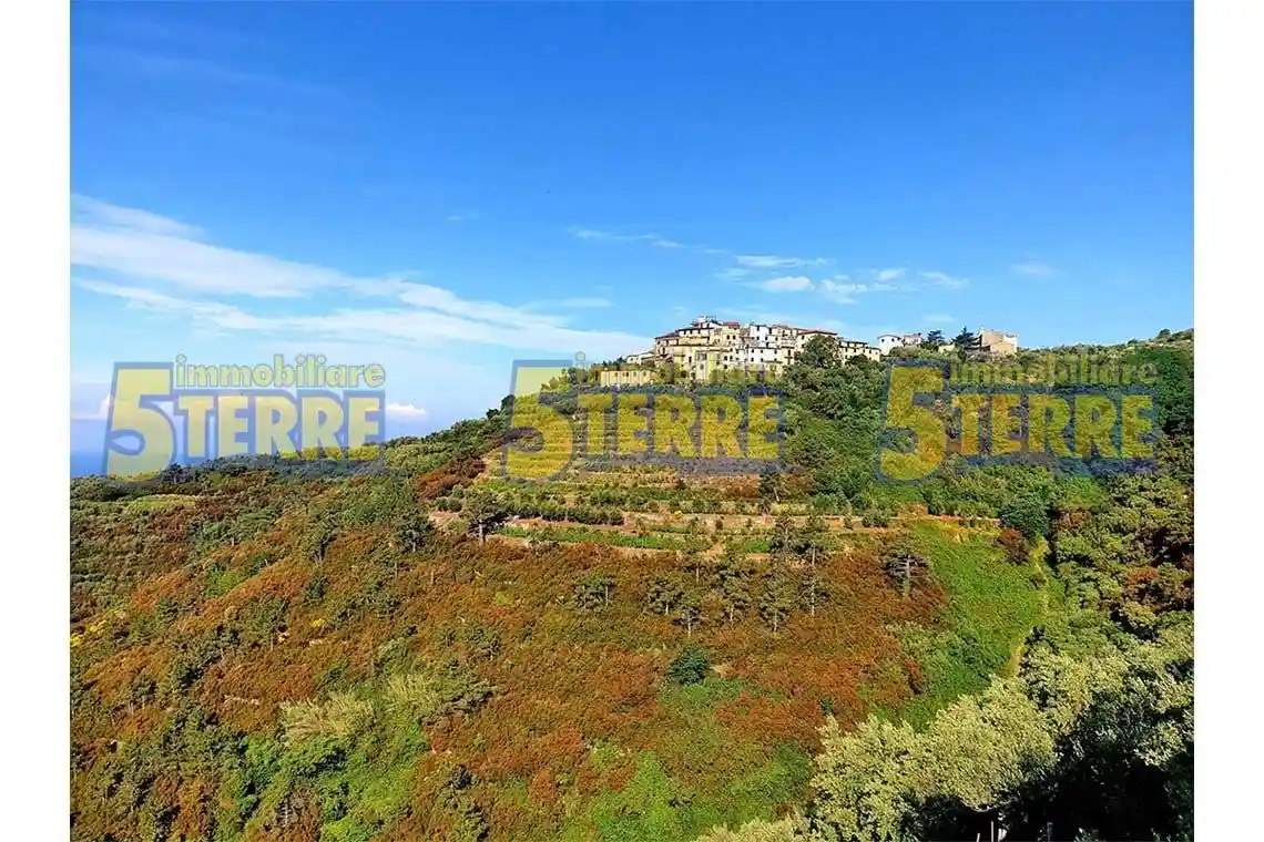 Rustico - Casale in vendita a Riomaggiore