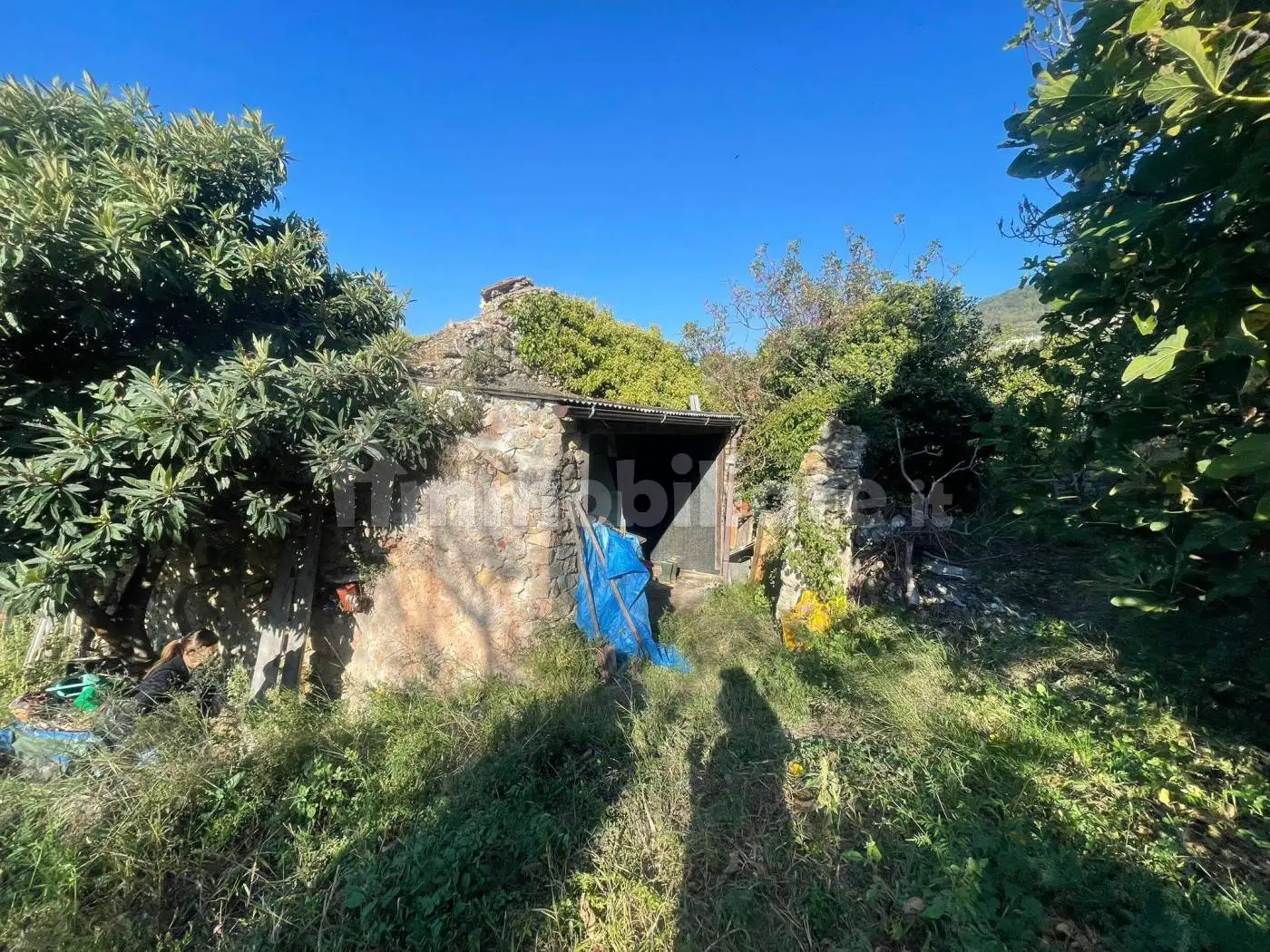 Villa unifamiliare via Poggio 5, Verezzi, Borgio Verezzi - foto 4