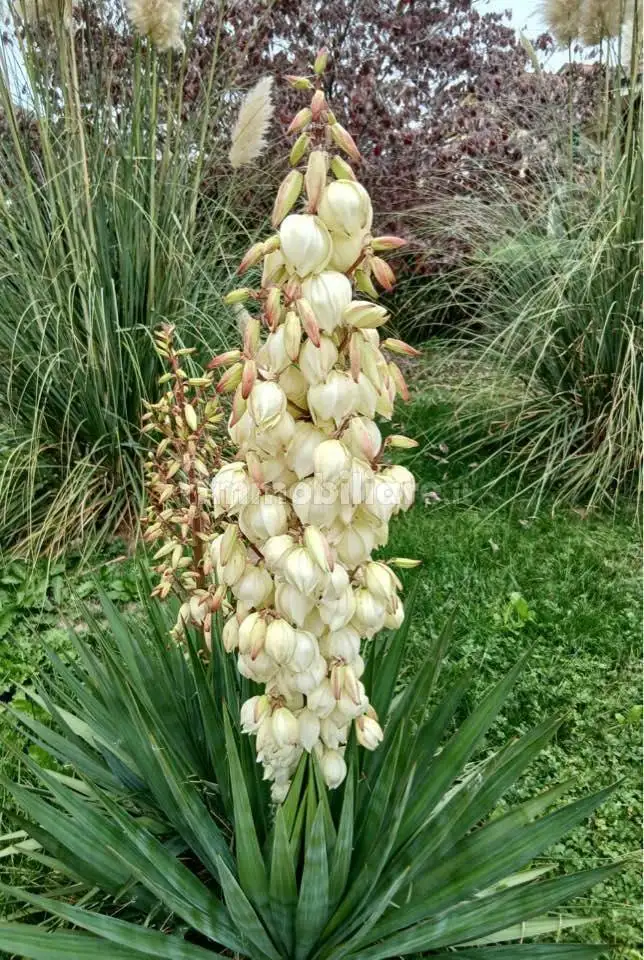 Villa in vendita a Cervasca