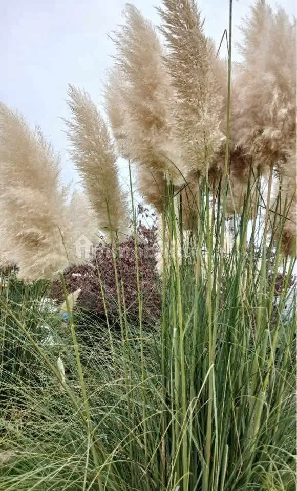 Villa bifamiliare, ottimo stato, 263 m², San Defendente, Cervasca - foto 3