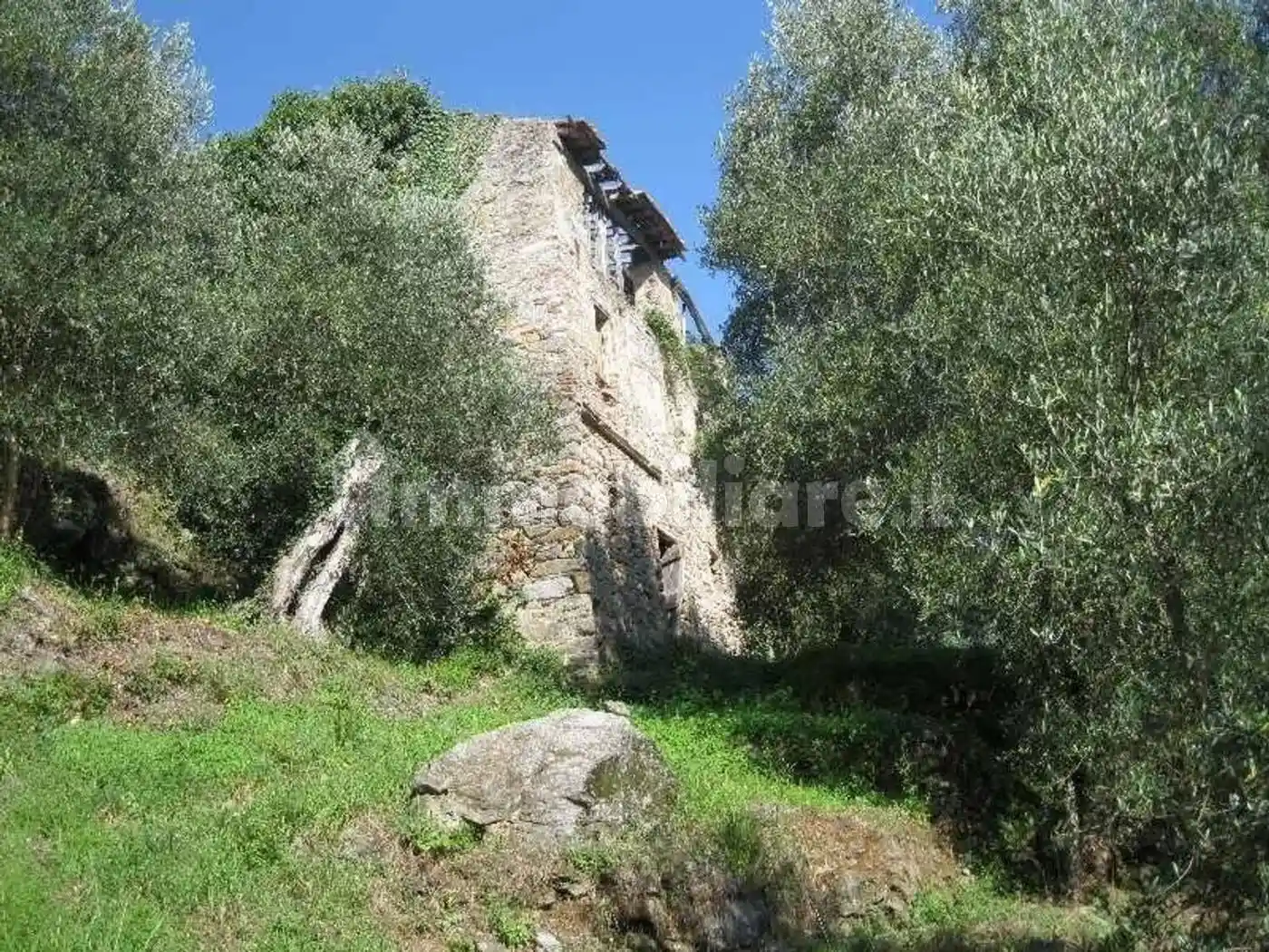 Rustico - Casale in vendita a Camaiore