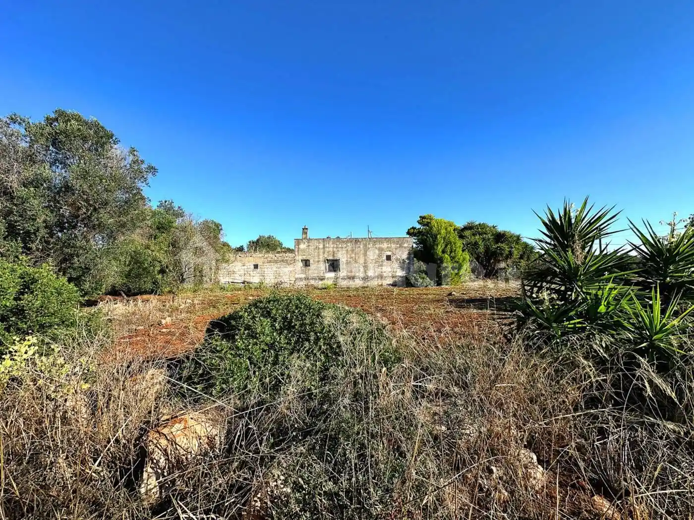 Rustico - Casale in vendita a Carovigno